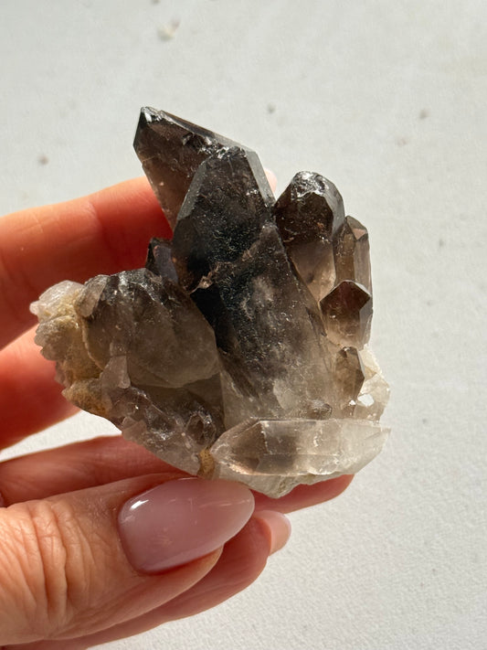 Druzy of smoky quartz