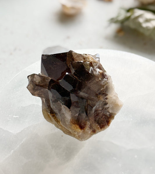 Smoky Quartz Druse
