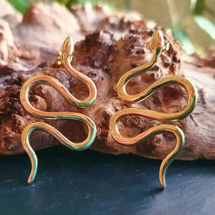 Earrings "Serpent's Wisdom"