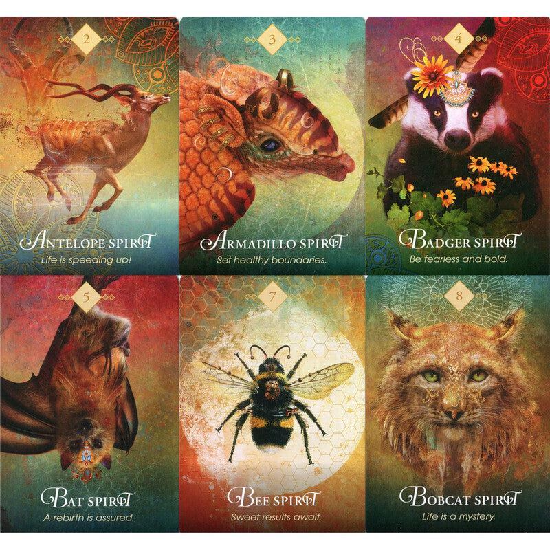 Gyvūnų kortos „The Spirit Animal Oracle"