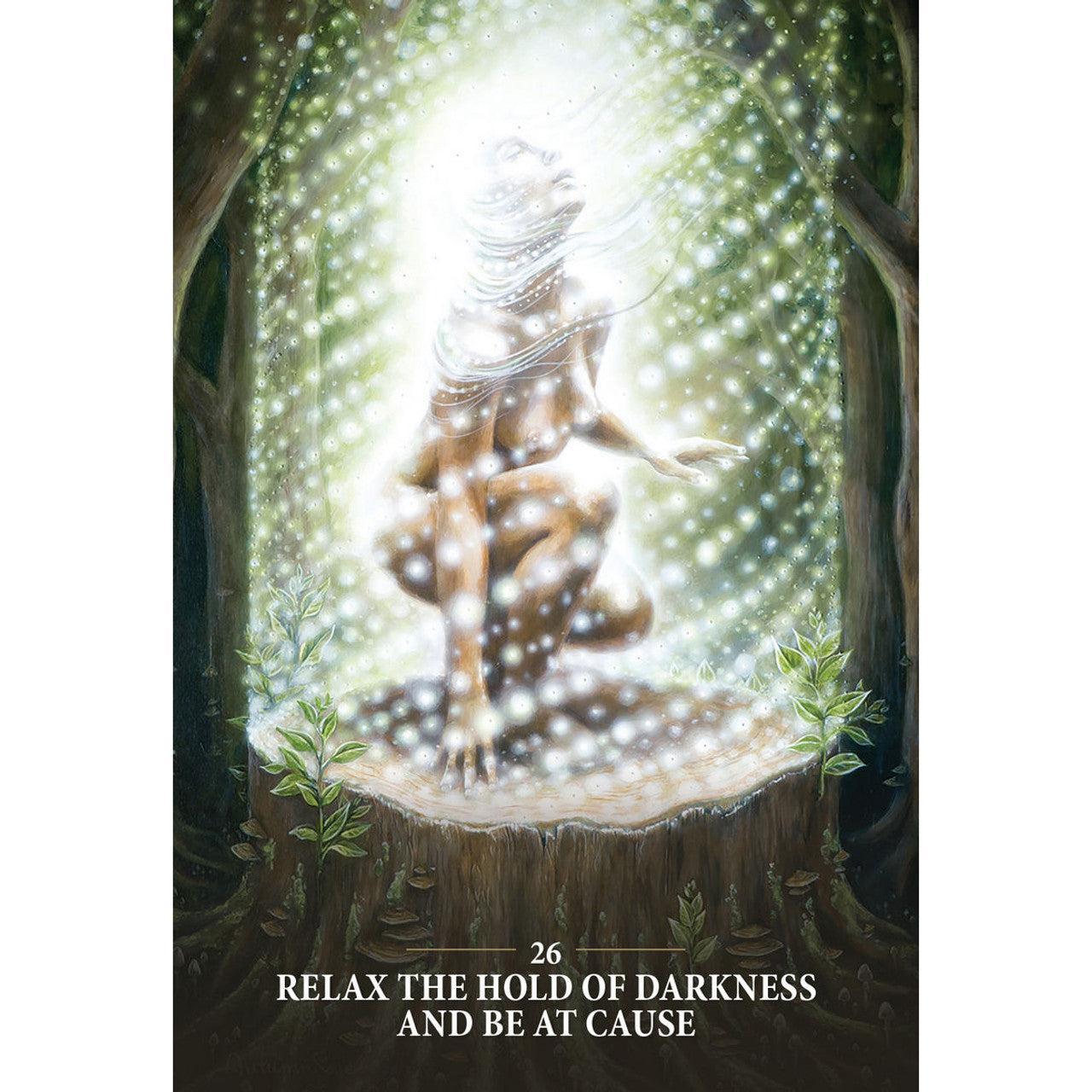 Šamaninės kortos „Sacred Rebels Oracle"