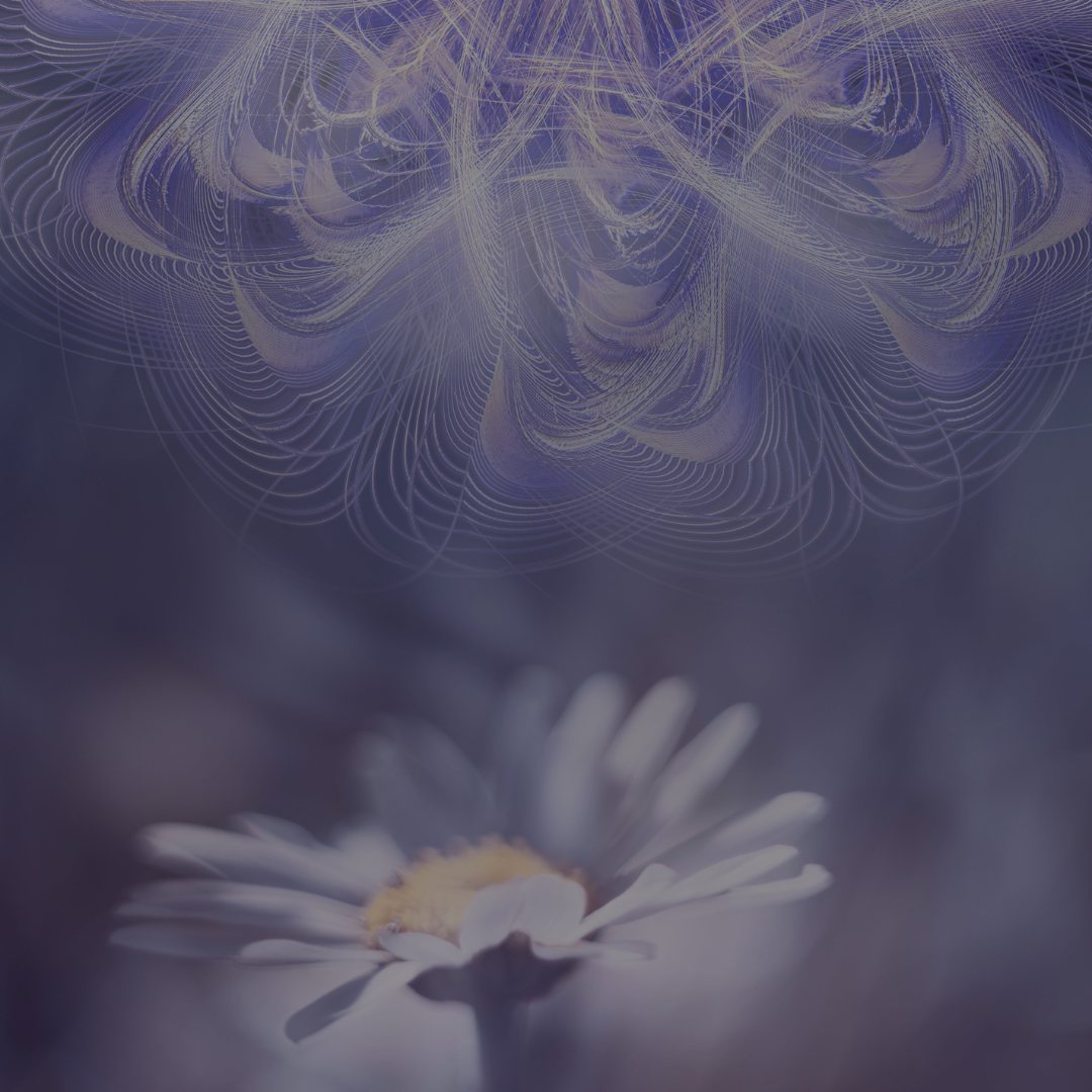 Mano Mėnuliai - Talentai gimimo horoskope / 75€