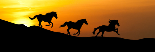 Saulės užtemimas ir Mėnulio jaunatis Vandenyje: naujos krypties užuomazgos