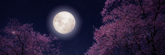 Mėnulio pilnatis Svarstyklių ženkle – balanso paieška