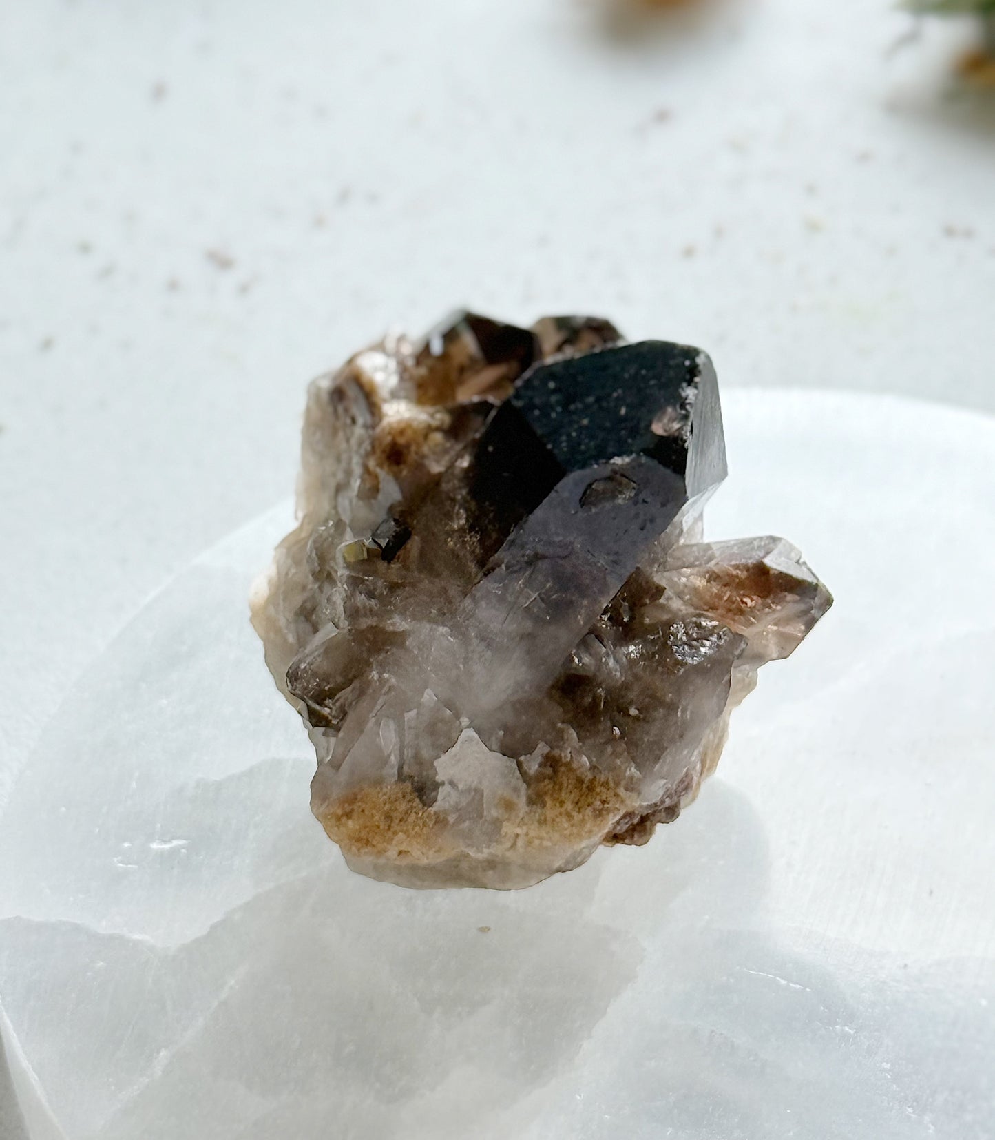 Smoky Quartz Druse