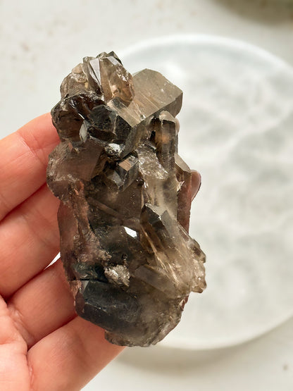 Smoky Quartz Druse