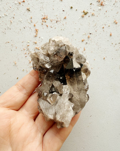 Smoky Quartz Druse