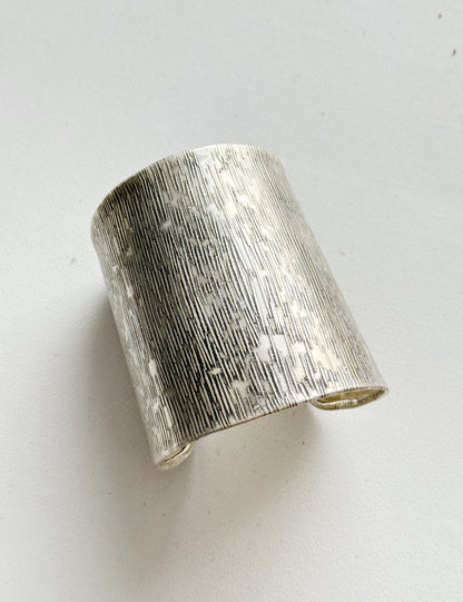 Apyrankė “Laukinė Tyla”