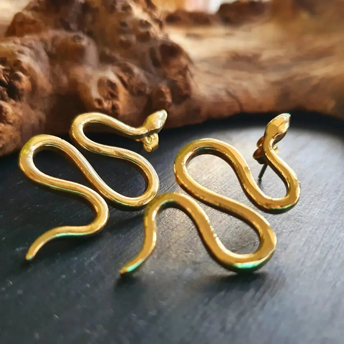 Earrings "Snake Wisdom"