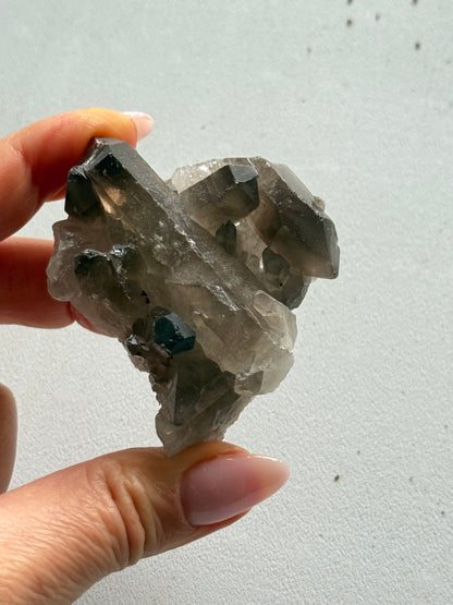 Dūminio kvarco Drūza