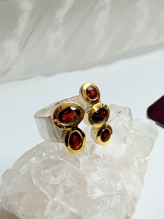 Sidabrinis žiedas su granatu “Penki”