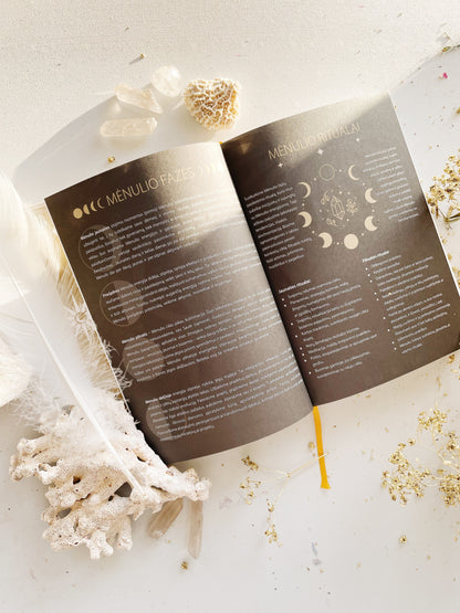 MĖNULIO darbo kalendorius 2026