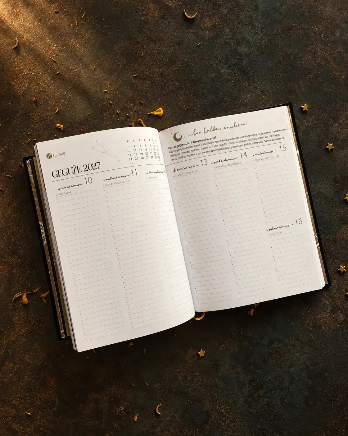 MOON work calendar 2027