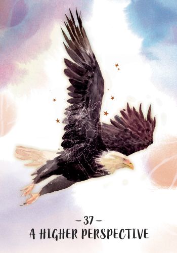 Orakulo kortos „Sisterhood of the Seers"