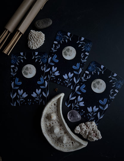 Orakulo kortos „Sisterhood of the Seers"