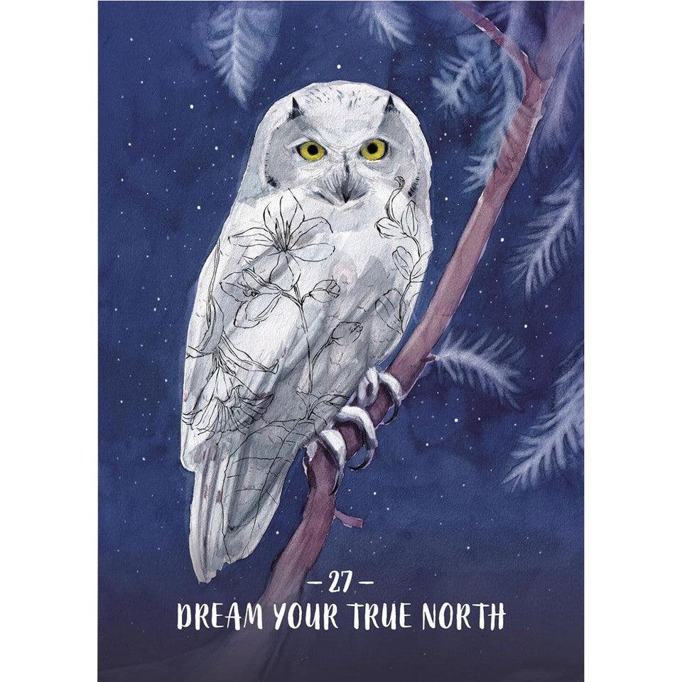 Orakulo kortos „Sisterhood of the Seers"