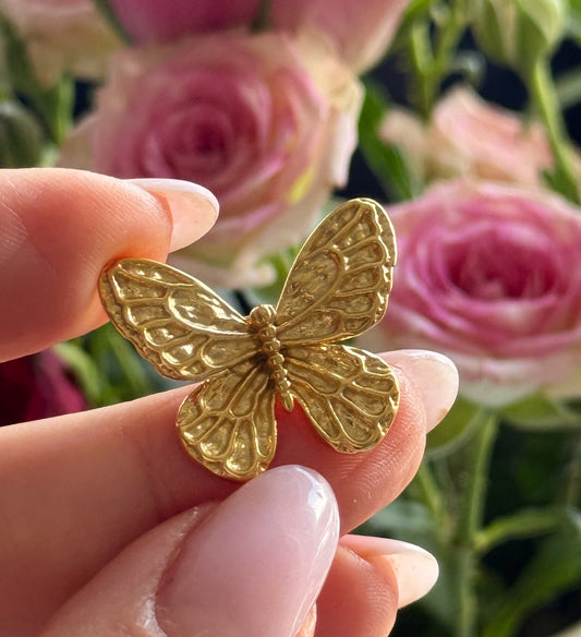 Sagė "Mažasis drugelis"