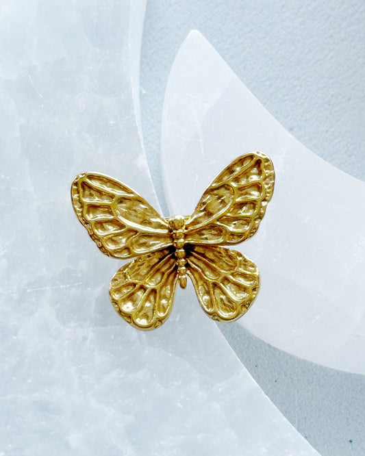 Sagė "Mažasis drugelis"