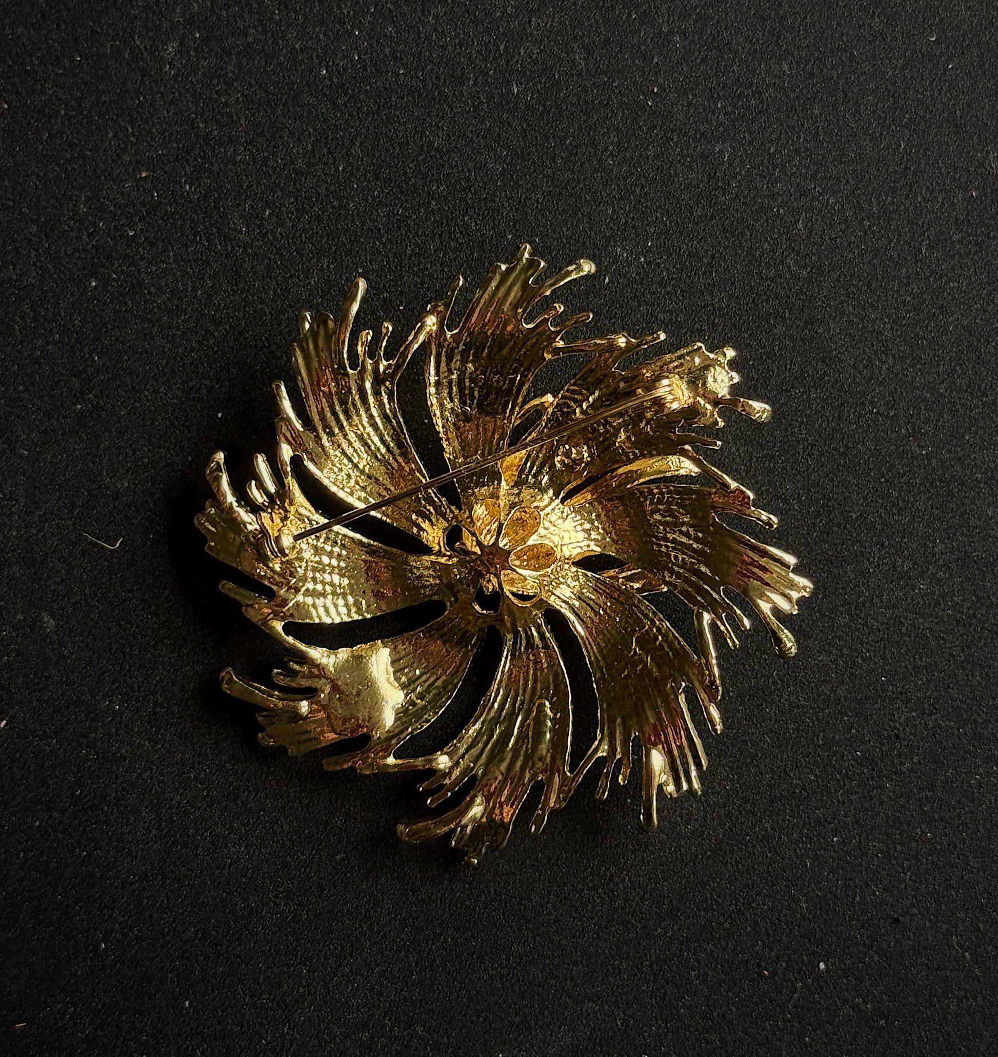 Sagė "Žvaigždės gimimas"