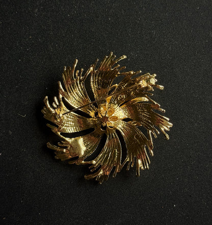 Sagė "Žvaigždės gimimas"