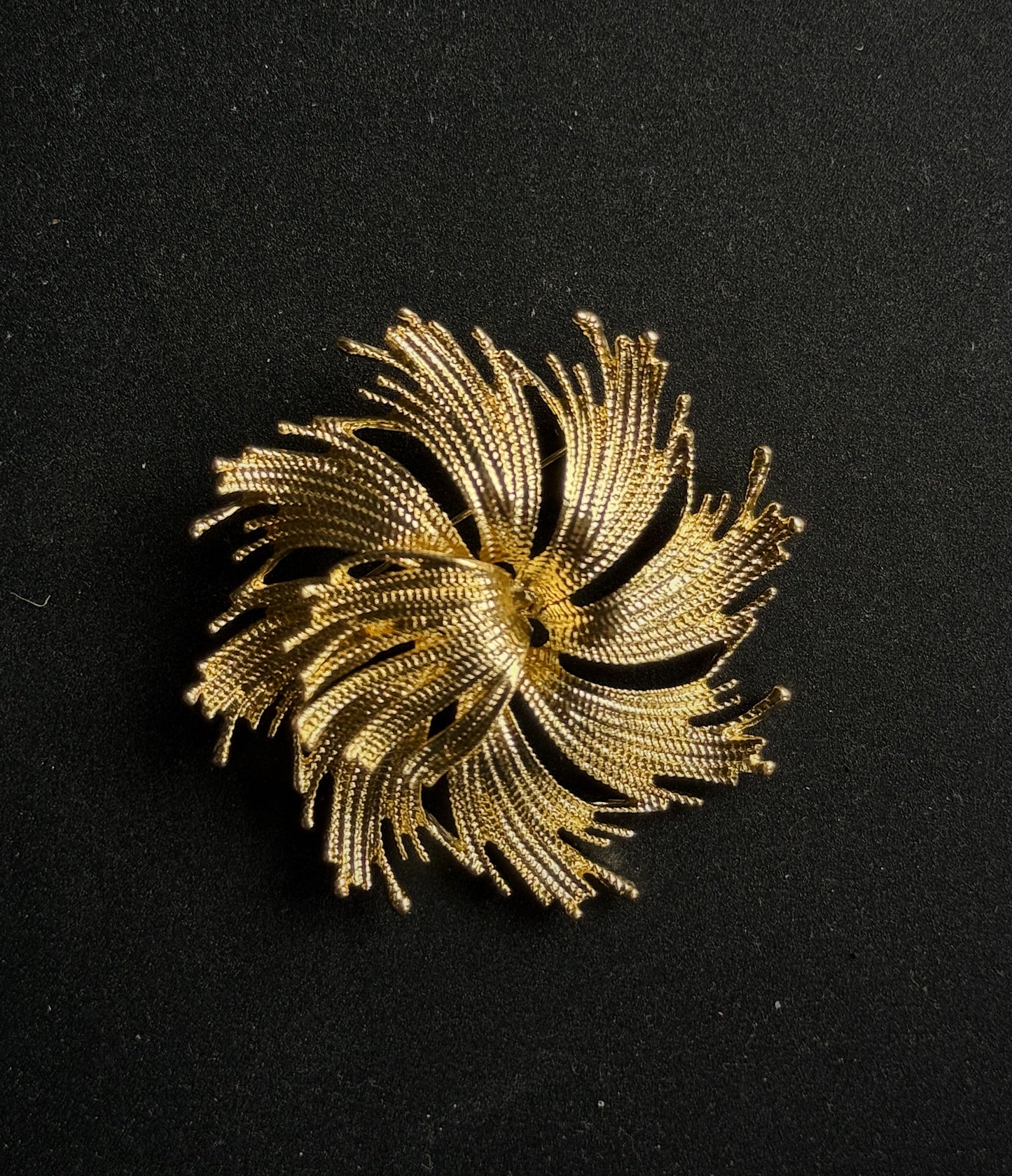 Sagė "Žvaigždės gimimas"