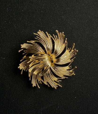 Sagė "Žvaigždės gimimas"