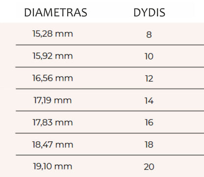 Sidabrinis žiedas su arbūziniu turmalinu / 18 dydis