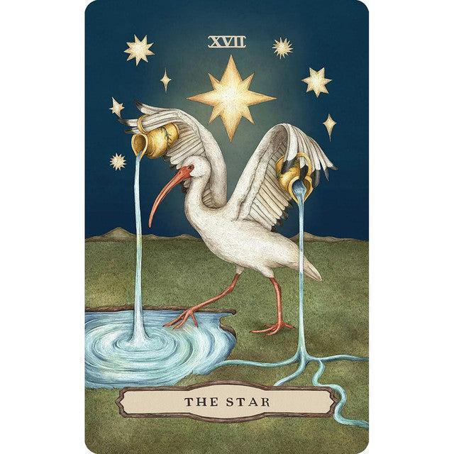 Taro kortos „Woodland Wardens Tarot"